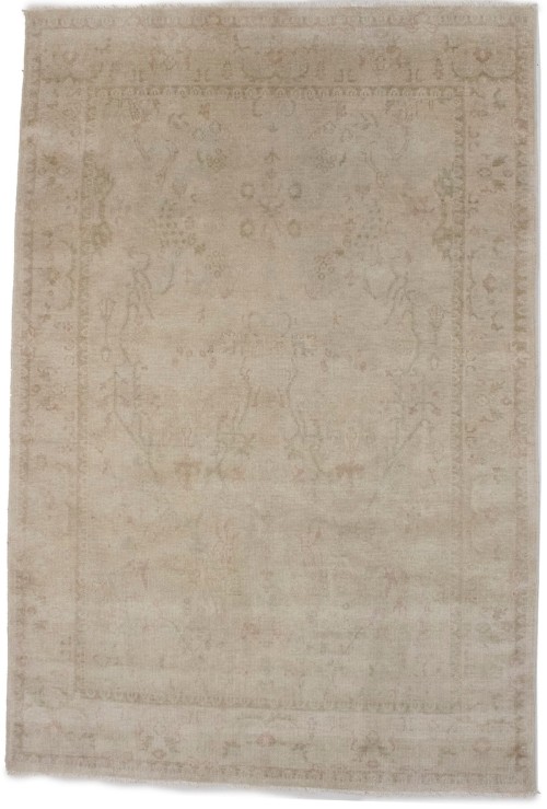 Beige Floral Transitional 6X8 Oriental Rug