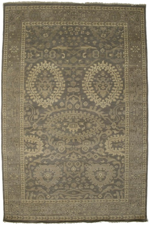 Brown Floral 5'7X8'5 Transitional Oriental Rug