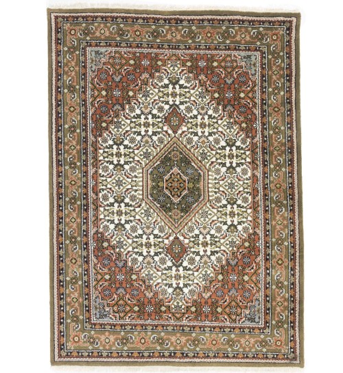 Cream Floral Tribal 6X8 Indo-Bidjar Oriental Rug