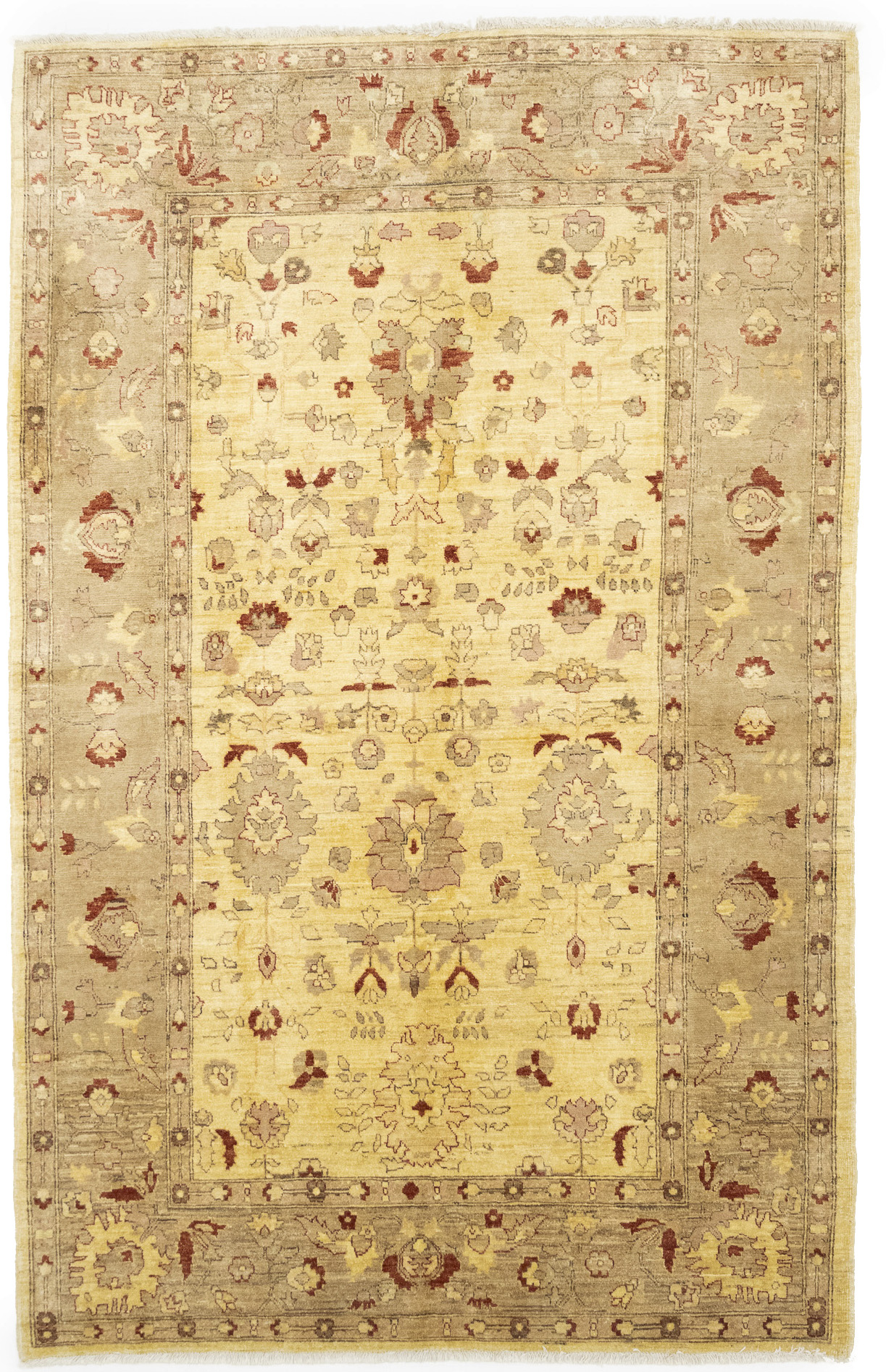 Golden Beige Traditional Floral 6X9 Ziegler Pakistan Rug