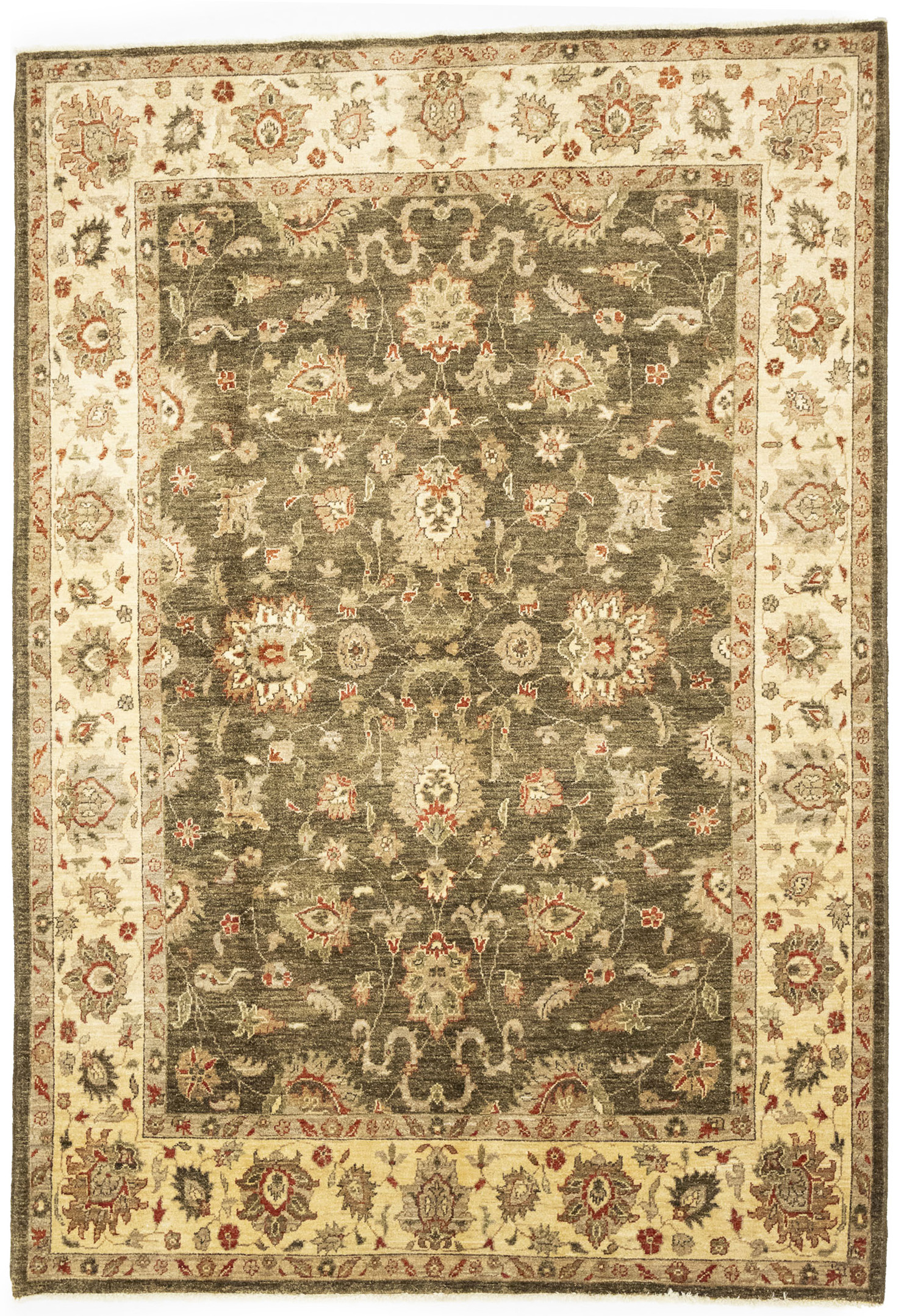 Brown Floral Peshawar 6X9 Pakistan Oriental Rug