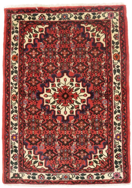 Bittersweet Red Floral 3X5 Hamedan Persian Rug