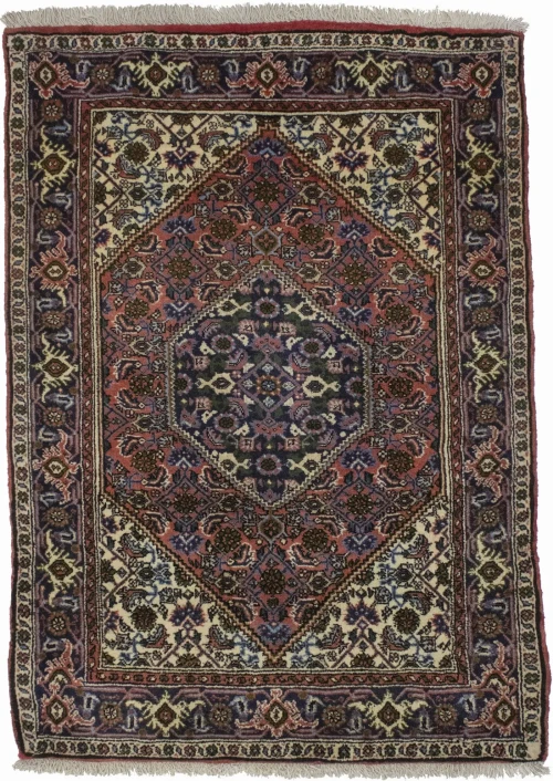 Floral Bittersweet Red 3X4 Bidjar Persian Rug