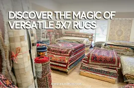 Discover the Magic of Versatile 5x7 Rugs: From Easy-Care Washables to Luxurious Shags