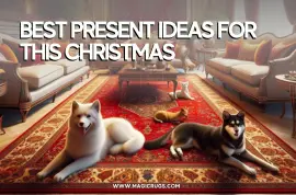 Best Present Ideas For This Christmas