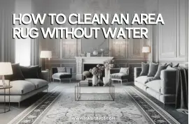 How to clean an area rug without water