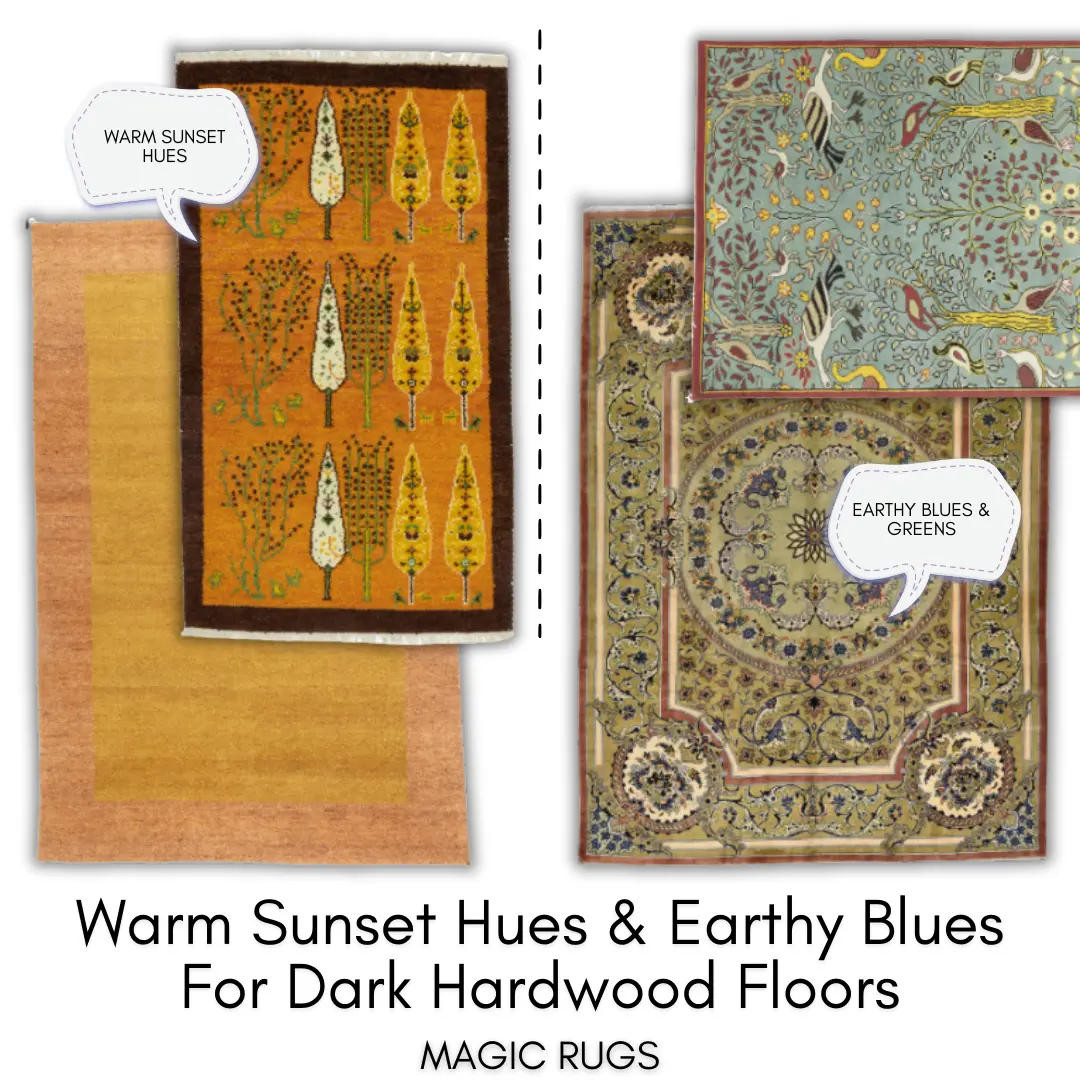 MR blog best color rug for wood floor 10