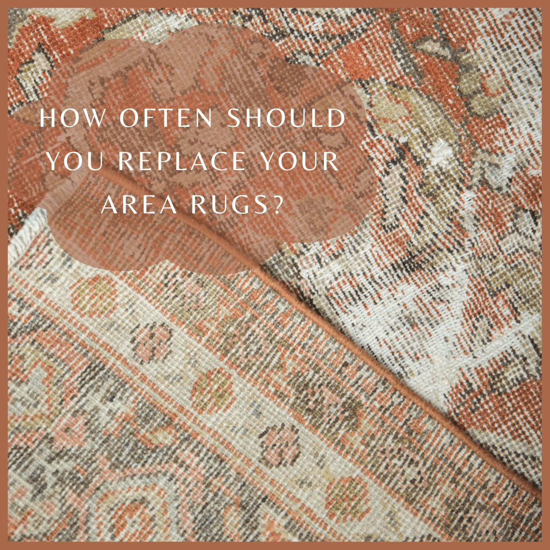 How often should you replace your area rugs?