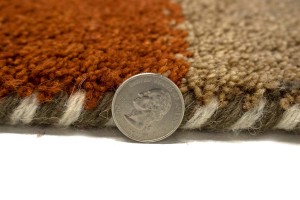 Multicolored Tribal 4X6 Indo-Gabbeh Oriental Rug