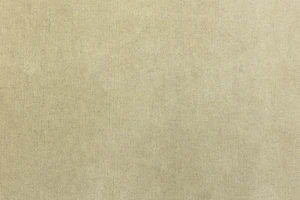 Beige Tribal 8X10 Fine Nepali Oriental Rug