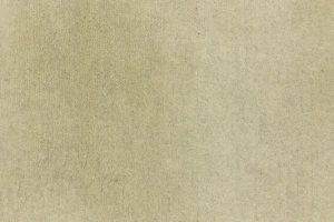 Beige Tribal 6X8 Fine Nepali Oriental Rug