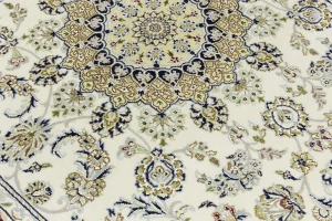 Cream Traditional Floral 6X9 Indo-Nain Oriental Rug