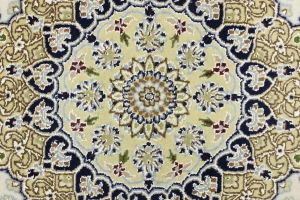 Cream Traditional Floral 6X9 Indo-Nain Oriental Rug