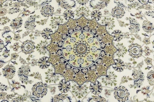Cream Floral 6X9 Indo-Nain Oriental Rug