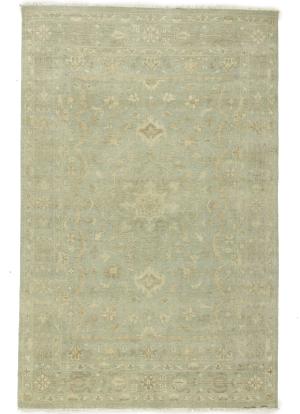 Muted Aqua Green Floral 6X9 Transitional Oriental Rug