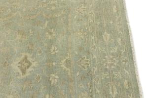 Muted Aqua Green Floral 6X9 Transitional Oriental Rug