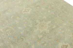 Muted Aqua Green Floral 6X9 Transitional Oriental Rug
