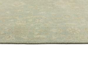 Muted Aqua Green Floral 6X9 Transitional Oriental Rug