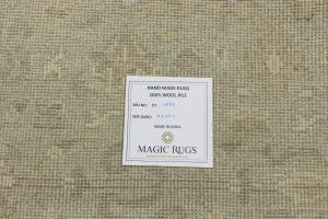 Muted Aqua Green Floral 6X9 Transitional Oriental Rug