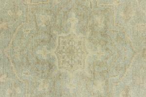 Muted Aqua Green Floral 6X9 Transitional Oriental Rug