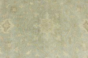 Muted Aqua Green Floral 6X9 Transitional Oriental Rug