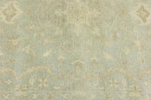 Muted Aqua Green Floral 6X9 Transitional Oriental Rug