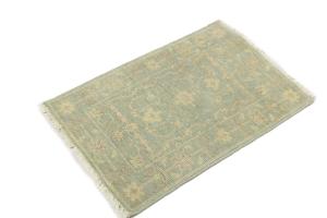Muted Beige Floral 2X3 Transitional Oriental Rug