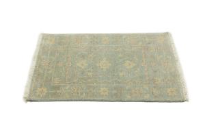 Muted Teal Floral 2X3 Transitional Oriental Rug