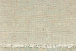 Muted Aqua Blue Floral Transitional 3X8 Oriental Runner Rug