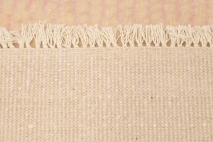 Pale Pink Grass Design 2X3 Modern Oriental Rug
