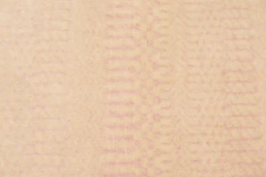 Pale Pink Grass Design 2X3 Modern Oriental Rug
