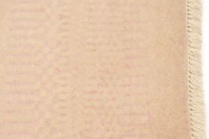 Pale Pink Grass Design 2X3 Modern Oriental Rug