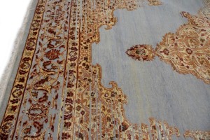 Floral Transitional 6X8 Oriental Rug