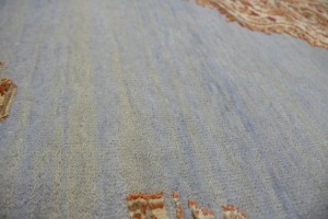 Floral Transitional 6X8 Oriental Rug