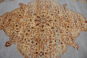 Floral Transitional 6X8 Oriental Rug
