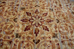 Floral Transitional 6X8 Oriental Rug