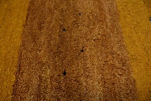 Golden Yellow Tribal 4X6 Indo-Gabbeh Oriental Rug