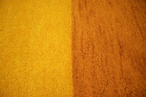Gold & Rust Stripes 4X6 Indo-Gabbeh Oriental Rug