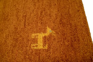 Gold & Rust Stripes 4X6 Indo-Gabbeh Oriental Rug