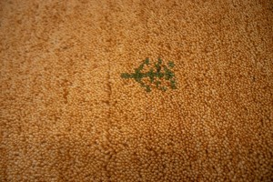 Rusty Peach Bordered Tribal 2'9X6'4 Indo-Gabbeh Oriental Rug