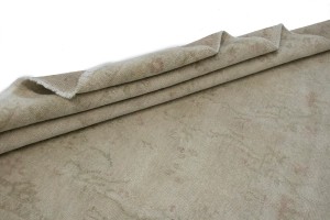 Beige Floral Transitional 6X8 Oriental Rug