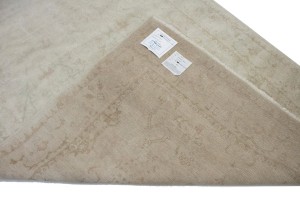 Beige Floral Transitional 6X8 Oriental Rug