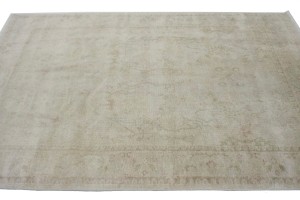 Beige Floral Transitional 6X8 Oriental Rug