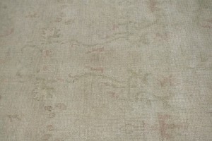 Beige Floral Transitional 6X8 Oriental Rug