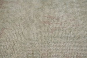 Beige Floral Transitional 6X8 Oriental Rug