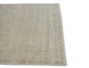 Beige Floral Transitional 6X8 Oriental Rug