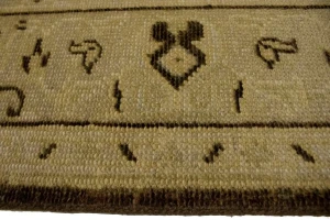 Brown Floral 5'5X8'7 Transitional Oriental Rug