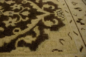 Brown Floral 5'5X8'7 Transitional Oriental Rug