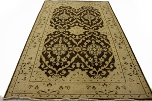 Brown Floral 5'7X8'9 Transitional Oriental Rug
