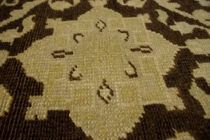 Brown Floral 5'7X8'9 Transitional Oriental Rug